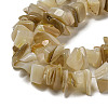 Natural Yellow Shell Beads Strands SSHEL-H072-05-3