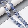 Natural Blue Spot Jasper Beads Strands G-K359-B19-01-2