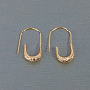 U-shaped Brass Dangle Earrings WD6040-3