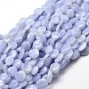 Natural Blue Lace Agate Gemstone Nuggets Bead Strands X-G-J336-22-1