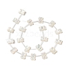 Natural White Shell Mother of Pearl Shell Beads BSHE-B005-06-2