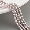 Natural Cultured Freshwater Pearl Beads Strands PEAR-P062-02B-2