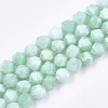 Natural Myanmar Jade/Burmese Jade Beads Strands G-T108-27B-1