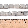 Natural Labradorite Beads Strands G-T138-85-5