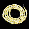 Natural Trochid Shell/Trochus Shell Bead Strands SSHEL-N034-77-C06-2