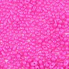 Baking Paint Glass Seed Beads SEED-L011-09A-13-3