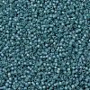 MIYUKI Delica Beads X-SEED-J020-DB1283-3