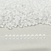 MIYUKI 3.4mm Drop Beads SEED-MY04-DPF22-5