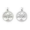 304 Stainless Steel Pendants STAS-T046-JA350-1A-P-2