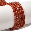 Natural South Red Agate Beads Strands G-B090-A04-03-1