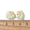 Natural Rainbow Alashan Agate Charms G-G194-01-4