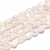 Natural Cultured Freshwater Pearl Beads Strands PEAR-N014-03H-2