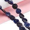 Natural Sodalite Beads Strands G-O120-14-2