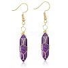 Amethyst Hexagon Handmade Copper Wire Wrapped Earrings Natural Stone Column Earrings ND6138-3-1