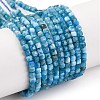 Natural Apatite Beads Strands G-F770-A04-02-2