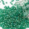 TOHO Round Seed Beads SEED-JPTR08-0164BF-1