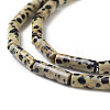 Natural Dalmatian Jasper Beads Strands X-G-F247-21-3