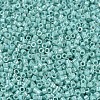 MIYUKI Delica Beads SEED-MY11-DB1576-3