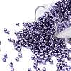 TOHO Round Seed Beads SEED-JPTR08-0567-1
