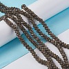 Natural Trochid Shell/Trochus Shell Beads Strands SSHEL-K027-01-4