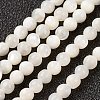 Natural White Shell Beads Strands X-G-G680-54-1