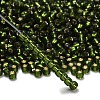 TOHO 6/0 Round Beads SEED-XTR06-0037-2