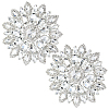2Pcs Glass Hotfix Rhinestone DIY-GF0013-36B-1