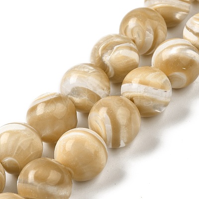 Natural Trochus Shell Beads Strands SHEL-K006-18A-1