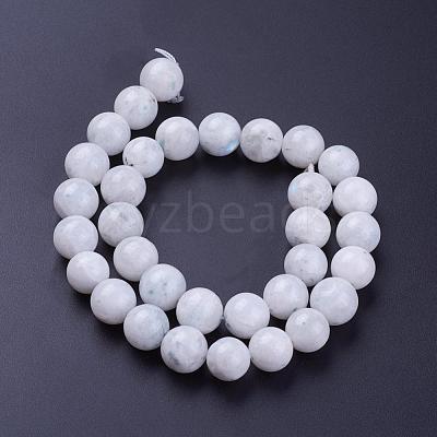 Natural Rainbow Moonstone Bead Strands G-G970-37-12mm-1