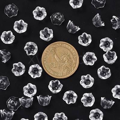 Transparent Clear Acrylic Beads PL548-1-1