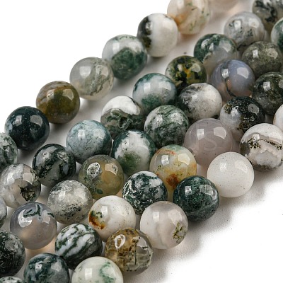 Natural Tree Agate Round Gemstone Beads Strands X-G-R255-6mm-1