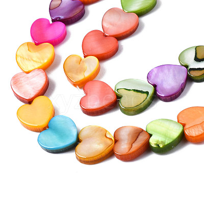 Natural Freshwater Shell Beads Strands SHEL-S278-024A-1