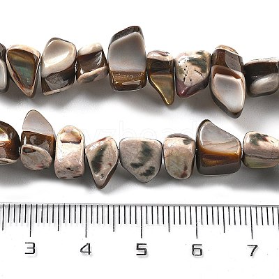 Dyed Natural Trochus Shell Beads Strands BSHE-Z006-01B-1