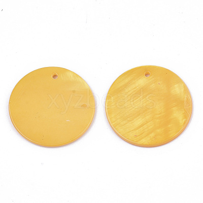 Natural Freshwater Shell Pendants SHEL-R022-01E-1