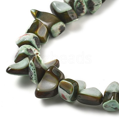 Dyed Natural Trochus Shell Beads Strands BSHE-Z006-01A-1