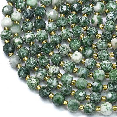 Natural Green Spot Jasper Beads Strands G-K389-E64-01-1