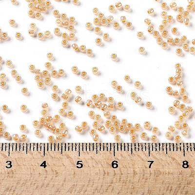TOHO Round Seed Beads SEED-JPTR11-0904-1