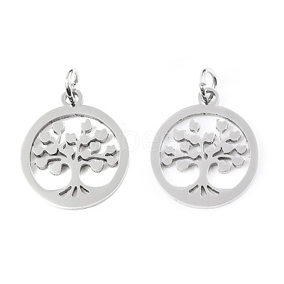 304 Stainless Steel Pendants STAS-T046-JA350-1A-P-1
