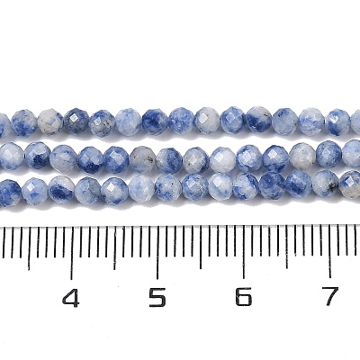 Natural Blue Spot Jasper Beads Strands G-A252-A02-02-1