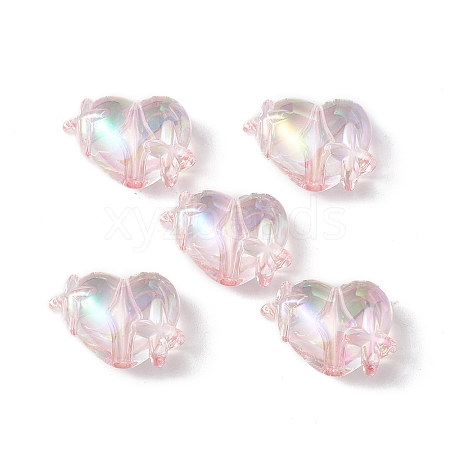 Transparent Acrylic Beads OACR-B005-01D-1