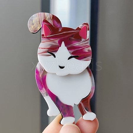 Cat Acrylic Brooch for Backpack Clothes PW-WG6199D-01-1