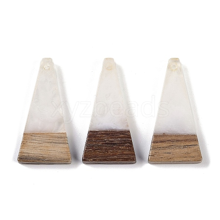 Resin & Wood Pendants WOOD-F015-03H-1