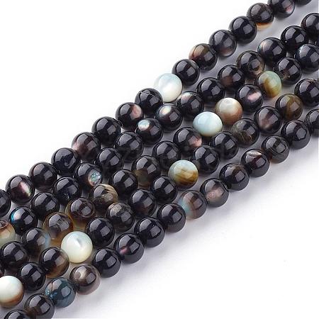 Natural Black Lip Shell Bead Strands SSHEL-Q298-02-1