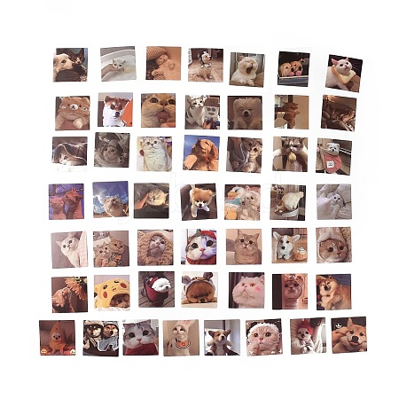 48Pcs 48 Styles PVC Plastic Pet Stickers Sets STIC-P004-24-1