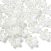 30Pcs Electroplate Transparent Glass Beads GLAA-YW0005-02A-1