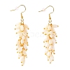 Natural Trochid Shell/Trochus Shell Cluster Earrings EJEW-JE04348-1