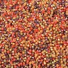 MIYUKI Delica Beads X-SEED-J020-DB2063-3