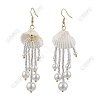 Handmade Seed Beads Tassel Dangle Earrings EJEW-FS00074-1