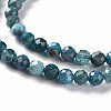 Natural Apatite Beads Strands X-G-S362-110C-3