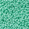 MIYUKI Round Rocailles Beads X-SEED-G008-RR4472-3